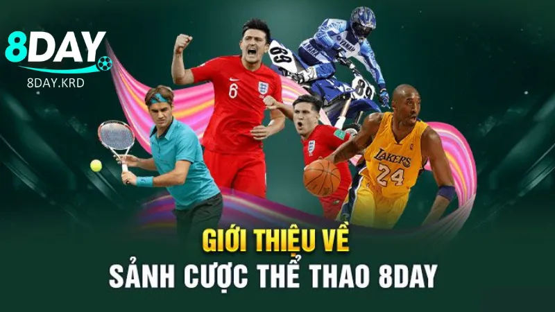 Sảnh cược thể thao trực tuyến hấp dẫn 2026